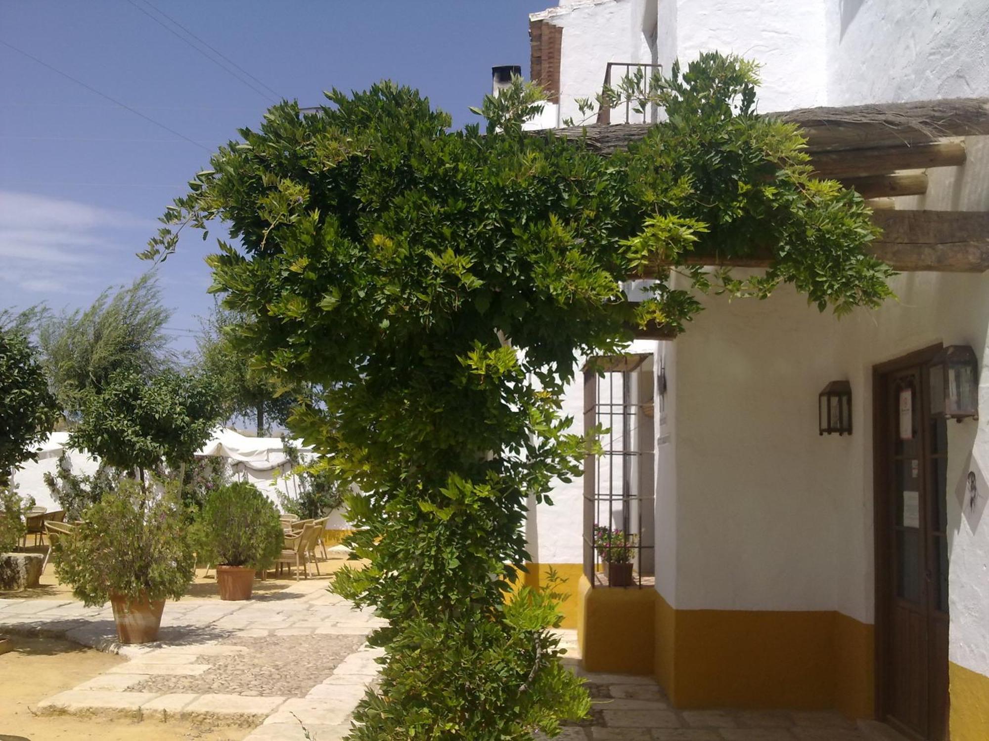 Posada De Jose Mª El Tempranillo Alameda Ngoại thất bức ảnh